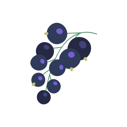 Cultivo de arándanos